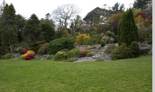 Lake Lodge Guesthouse Killarney Zewnętrze zdjęcie