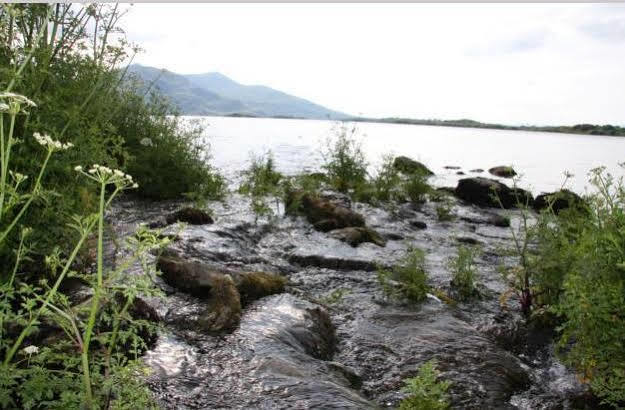 Lake Lodge Guesthouse Killarney Zewnętrze zdjęcie